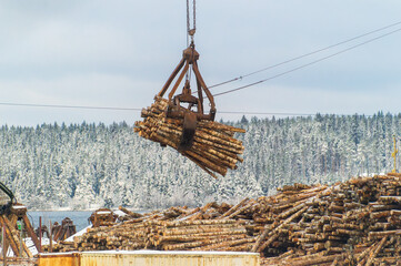 A crane is lifting a pile of logs. The scene is set in a snowy forest. Scene is serene and...
