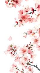 Elegant Cherry Blossoms Art on Transparent Background