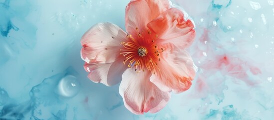 Beautiful pink flowers are in the clear water - obrazy, fototapety, plakaty