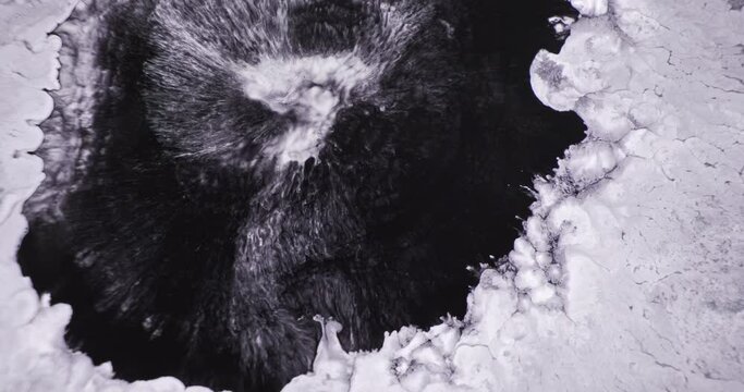 Black paint spread in white liquid abstraction. Black liquid abyss absorb white ink stream. Beautiful monochrome fluid background. Dark slowly fluid spill over light gray acrylic surface. Flow texture