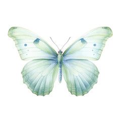 Vibrant Watercolor Butterfly Illustration isolated