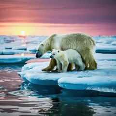 Foto op Plexiglas A polar bear and her cub at sunrise looking for food with plastic waste in the sea © John