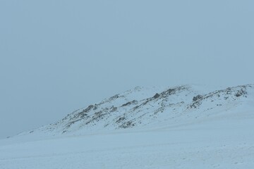 Snowy Colorado Landscapes 