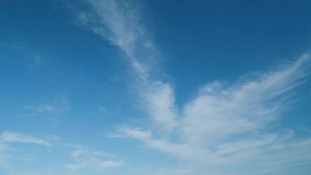 Beautiful blue sky and white cirrus clouds. White cloud like a swan wing high in a blue sky.