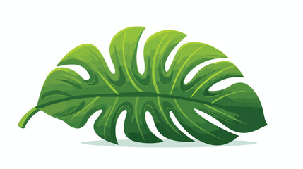 Palm tree leave Monstera tropical plant- vector 