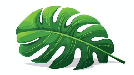Palm tree leave Monstera tropical plant- vector 
