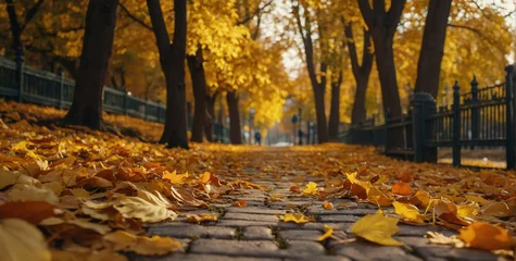 Foto op Plexiglas Autumn Walkway Covered in Yellow Leaves © @uniturehd