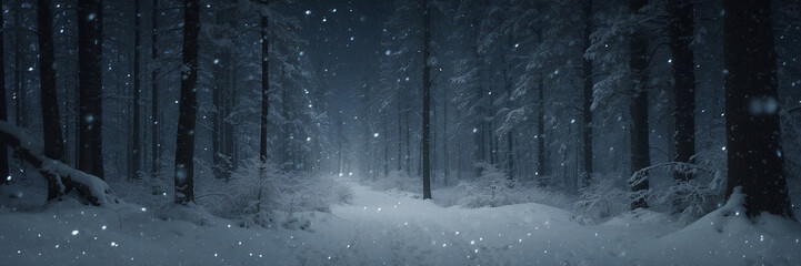 Snowy Path Through Forest at Night