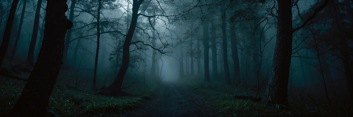 Misty Moonlit Path Through a Mysterious Forest at Night