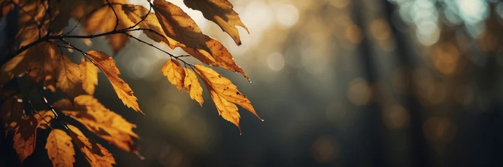 Foto op Plexiglas Close-Up of a Leaf on a Tree © @uniturehd