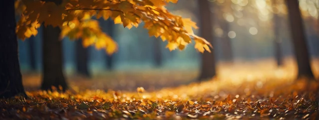 Foto op Plexiglas Golden Autumn Leaves Gracing a Forest Path © @uniturehd