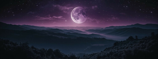 Fototapeta na wymiar Full Moon Illuminating Night Sky