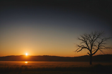 Fototapeta premium Lone Tree in Field at Sunset