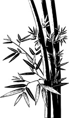 bamboo tree, silhouette bamboo