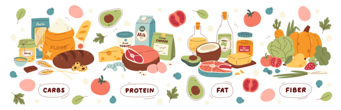 Natural organic healthy food groups containing fiber, fat, protein, crabs vector illustration