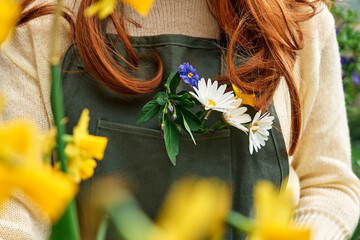 Unrecognizable redhead woman gardener in sweater and green apron with blue flowers, white daisy and...