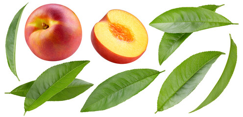 Fresh organic peach isolated