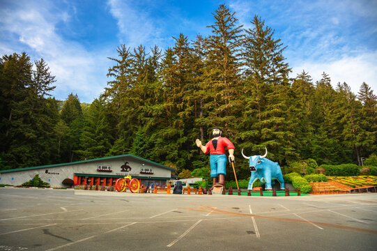 Klamath, California, USA - June 06, 2023 : Paul Bunyan and Babe the Blue Ox statues at Trees of Mystery located in Redwood National and State Parks.