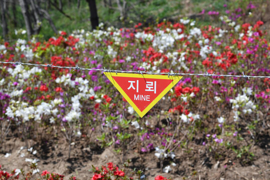 Marking of minefield on the Korean peninsula	