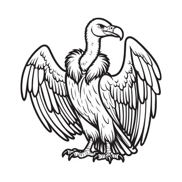 recommend clip art: Line art of vulture cartoon spreading the wings vector