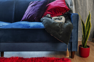 A blue velvet sofa with colorful cushions, a plant and red carpet