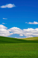 Golden Harvest: 4K Ultra HD Image of Sunset over Idyllic Farmland Landscape with Wheat Field
