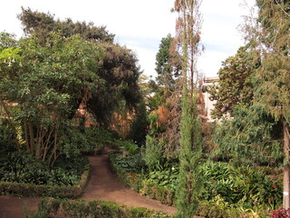 Hijuela del Botánico (La Orotava, Tenerife, Canary Islands, Spain)