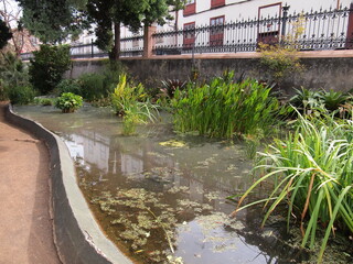 Fototapeta premium Hijuela del Botánico (La Orotava, Tenerife, Canary Islands, Spain)