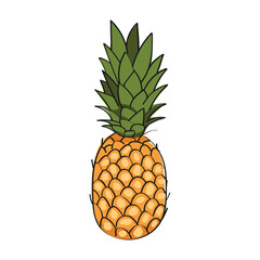 illustration of a hand drawn pineapple