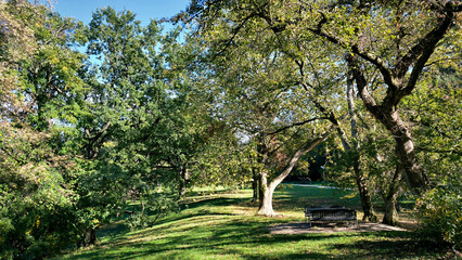 Kamenicki park in Petrovaradin, Vojvodina