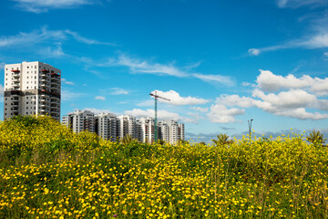 Public Housing Apartments in Ashkelon new district on background of spring field. - 755691359