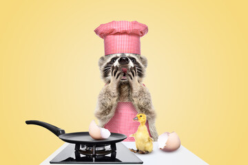 Surprised raccoon cook standing in front of the kitchen table on which sits a duckling hatched from an egg
