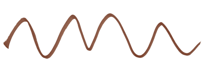 Brown stroke brush isolated on transparent background.