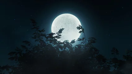 Tuinposter Volle maan en bomen oak tree branches in front of bright shining moon. 3D Rendering
