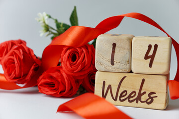 14 week gestational age milestone written on a wooden cube with red roses and ribbons, and a white...