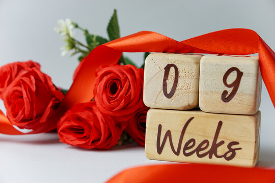 9 week gestational age milestone written on a wooden cube with red roses and ribbons, and a white background