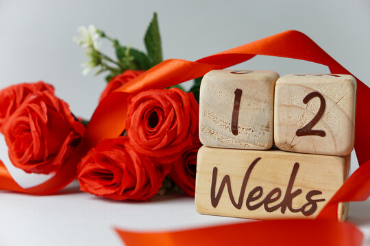 12 week gestational age milestone written on a wooden cube with red roses and ribbons, and a white background