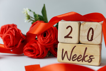 20 week gestational age milestone written on a wooden cube with red roses and ribbons, and a white background
