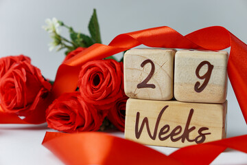 29 week gestational age milestone written on a wooden cube with red roses and ribbons, and a white background