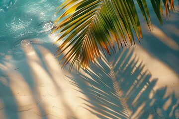 Top view of tropical leaf shadow on water surface. Shadow of palm leaves on white sand beach. Beautiful abstract background concept banner for summer vacation at the beach,goldern hours golden  - obrazy, fototapety, plakaty
