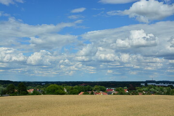 Fototapeta premium Getreidefeld am Dorf