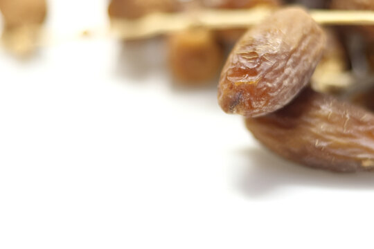 Date Palm