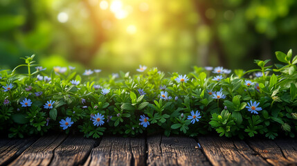 Wooden background with blue flowers and green grass. Nature background.