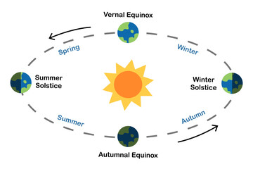 Earth’s seasons diagram. equinoxes and solstices. The Earth's orbit around the Sun. Astronomy science education. Poster, infographic, banner. Scientific design. Vector and illustration.