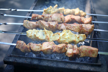 Spits with pieces of meat on the grill over hot coals, close-up