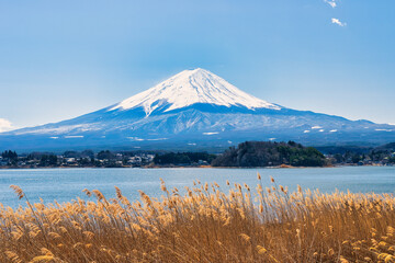 Tokyo Japan : 9 March 2024. Fuji mountain in Japan Beautiful tourist attractions that show the...