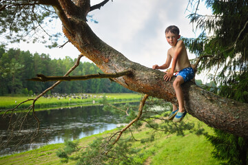 Little boy in shorts sits on tree branch and looks at camera near river at summer - obrazy, fototapety, plakaty