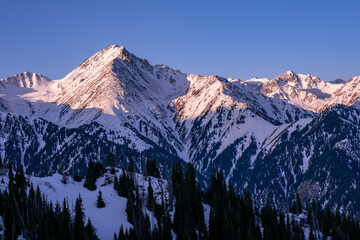 Mountain landscape with snow-capped peaks and coniferous forest in the soft light of the rising sun