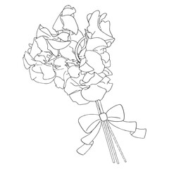 リアルなスイートピーの花束　白黒線画イラスト