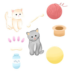a cute cats with their toys